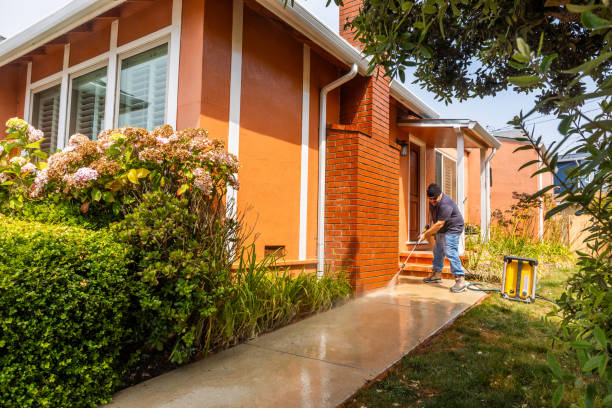 Best Residential Pressure Washing Services  in Allendale, MI
