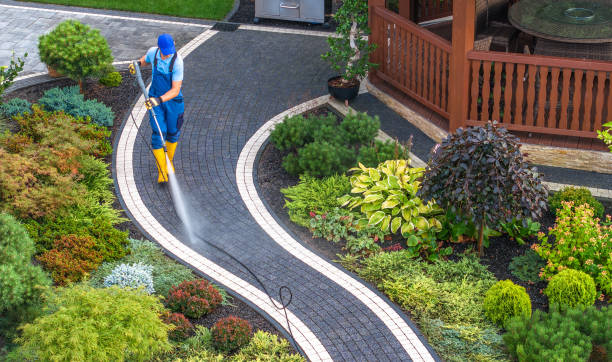 Best Best Pressure Washing Companies  in Allendale, MI